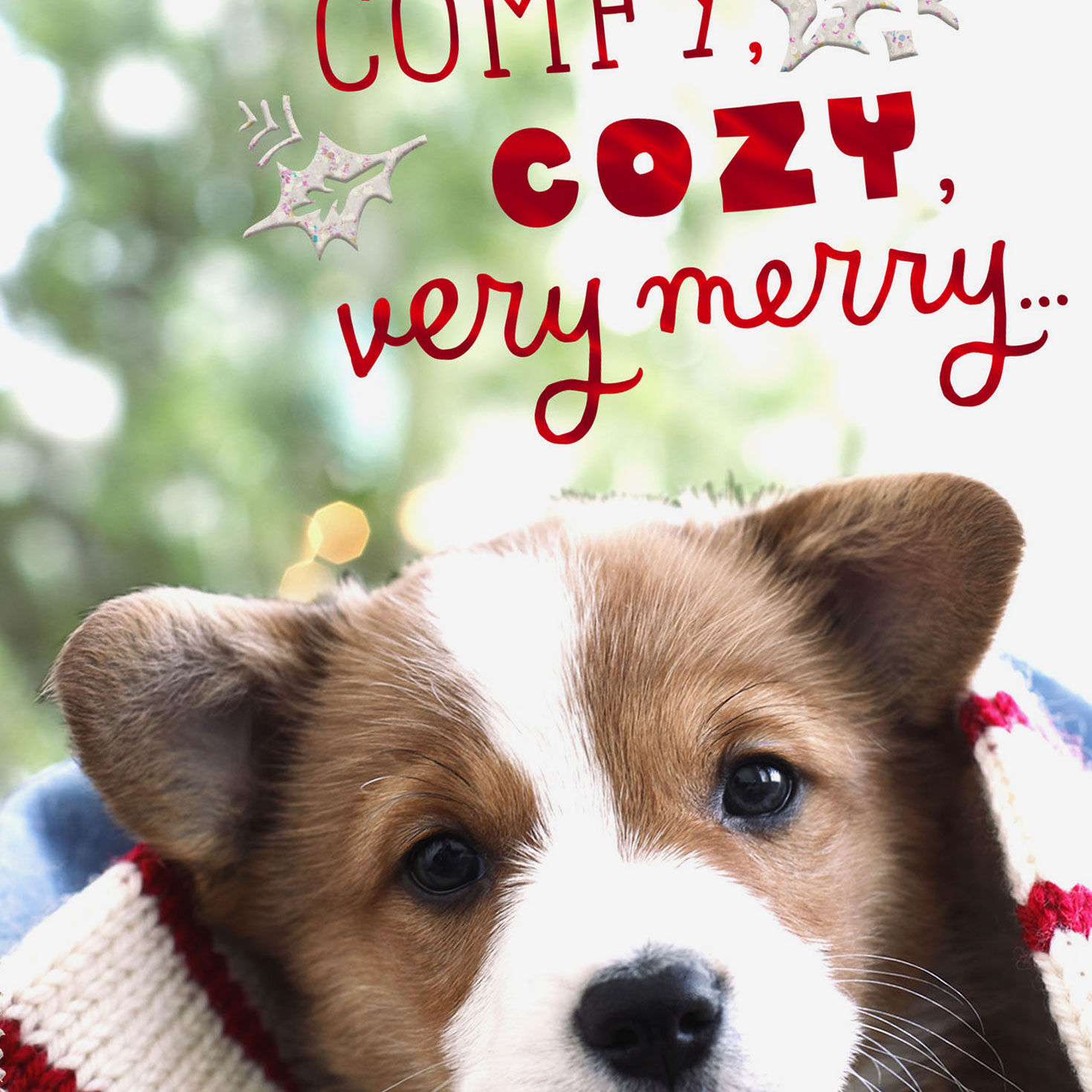 Comfy, Cozy and Merry Christmas Card for only USD 2.00 | Hallmark