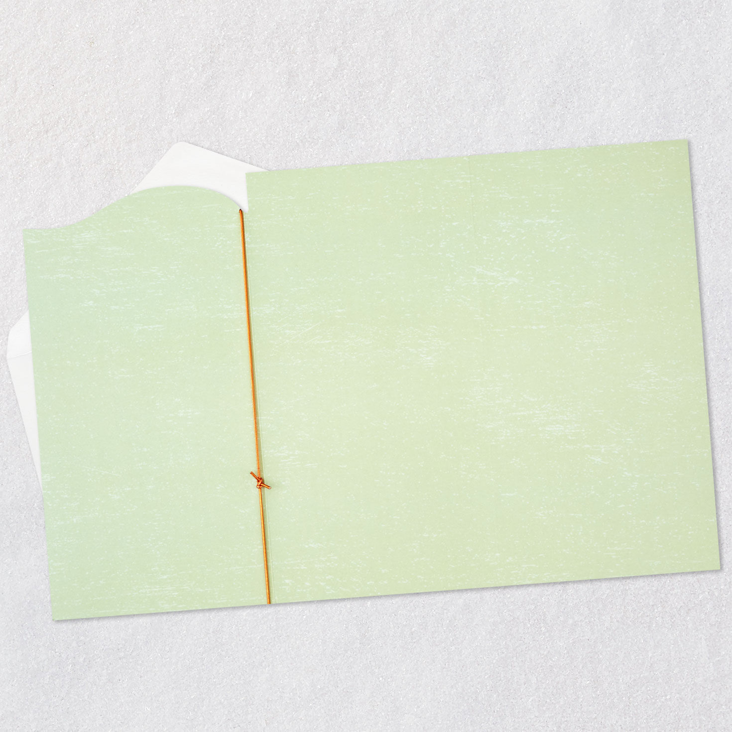 Holly on Green Friend Christmas Card Open card with envelope image number 4