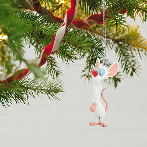 Animaniacs™ Pinky and The Brain Ornaments, Set of 2, 