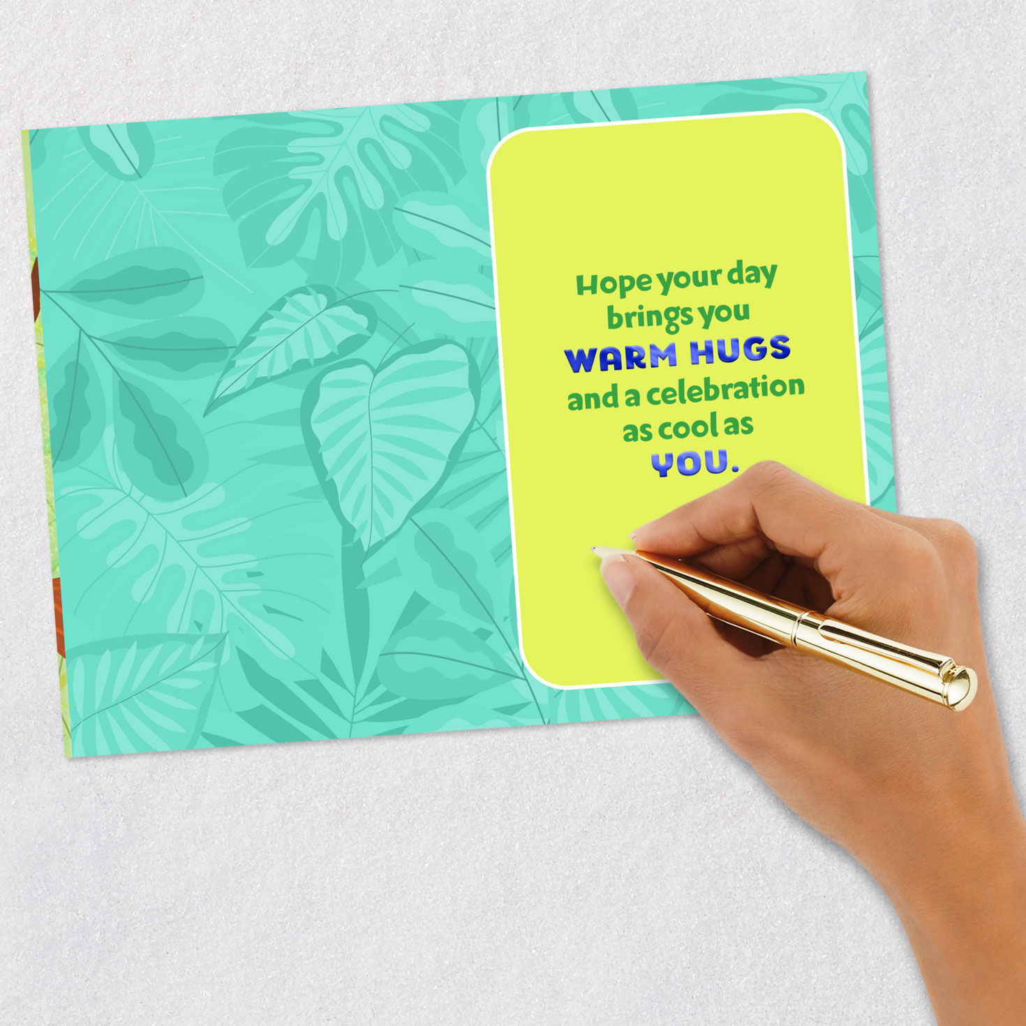 Warm Hugs Koala Birthday Card for Kid for only USD 2.99 | Hallmark