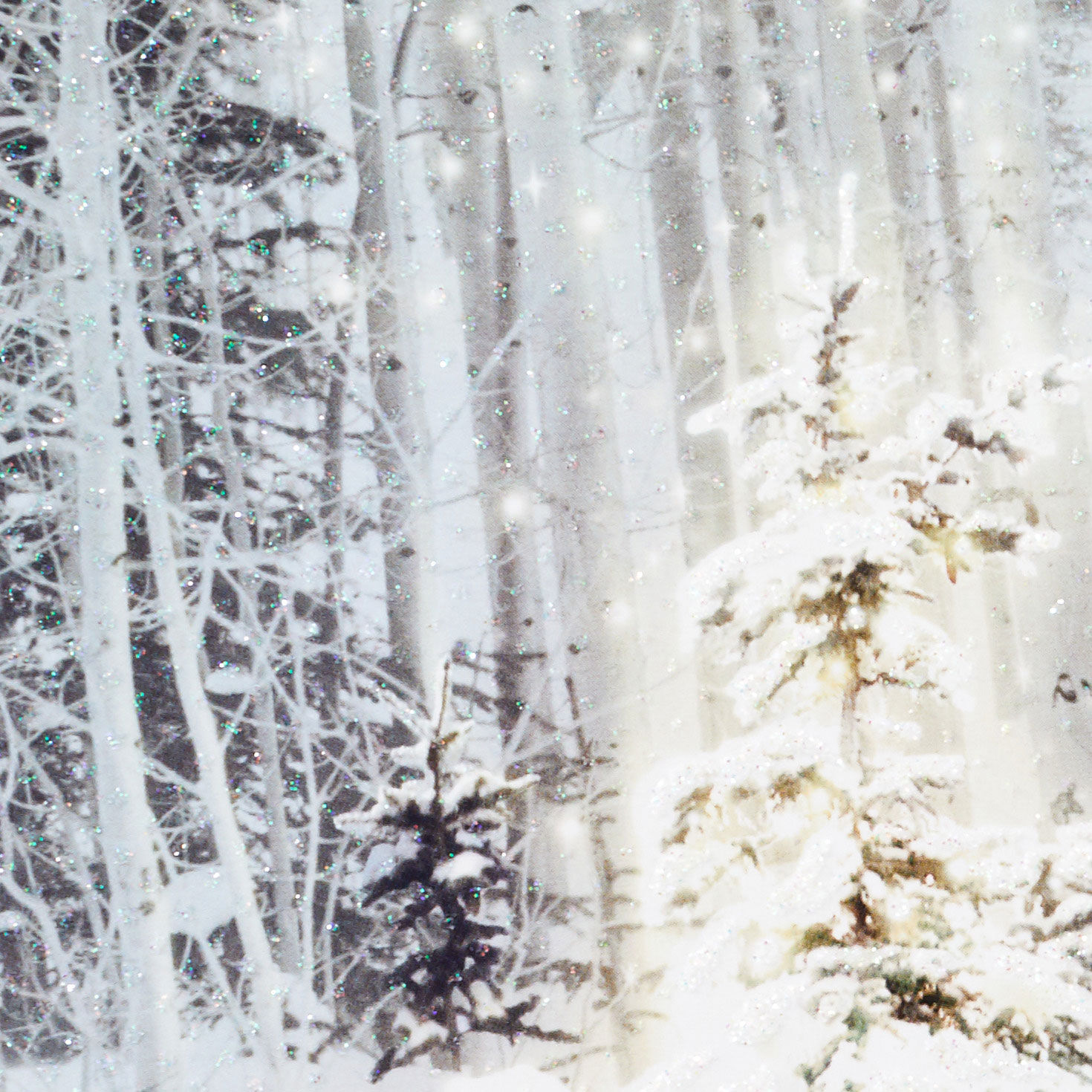 Snowy Pine Tree Blessings Everywhere Boxed Christmas Cards, Pack of 16, , large image number 5