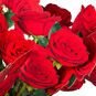 Build-a-Bouquet Red Roses Pop-Up Paper Flowers, Red Roses, large image number 4