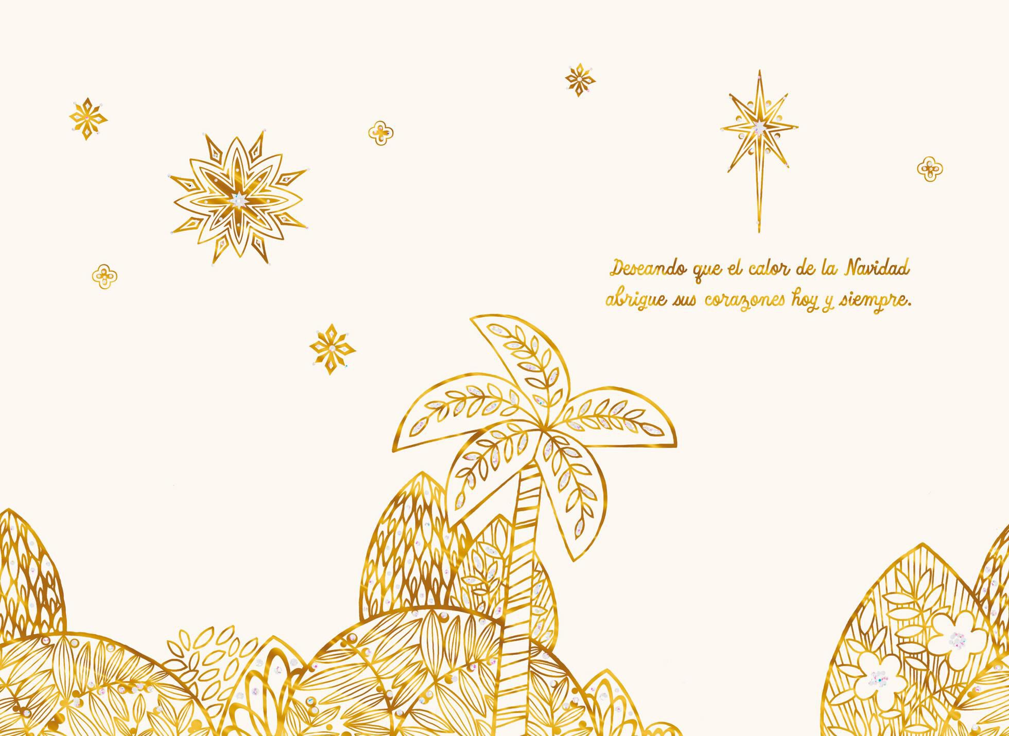 For a Special Family Spanish-Language Christmas Card