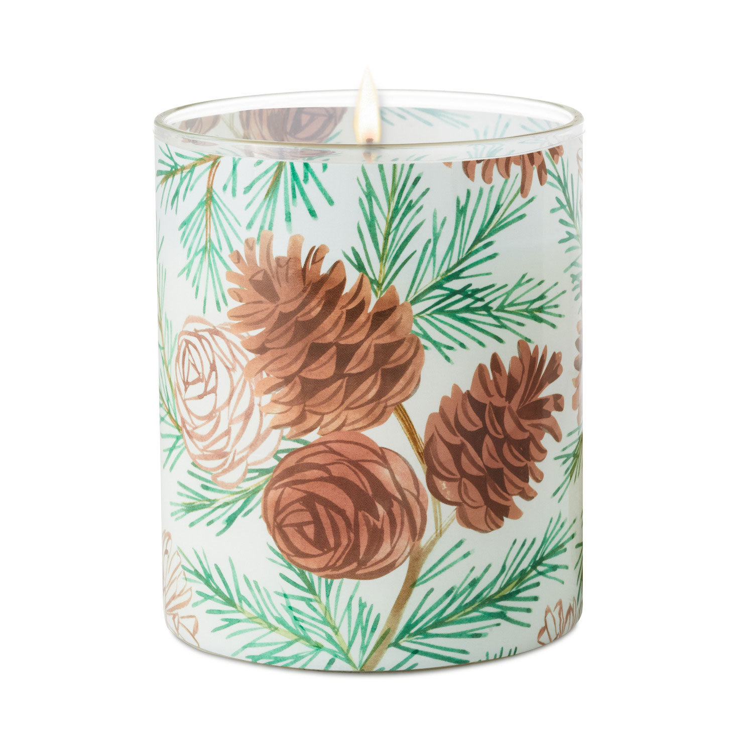 Pine and Birch Scented 2-Wick Jar Candle, 14.5 oz., , large image number 2