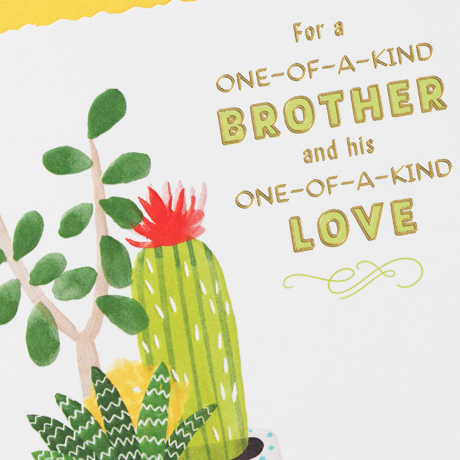 One-of-a-Kind Anniversary Card for Brother and Spouse, , large image number 4