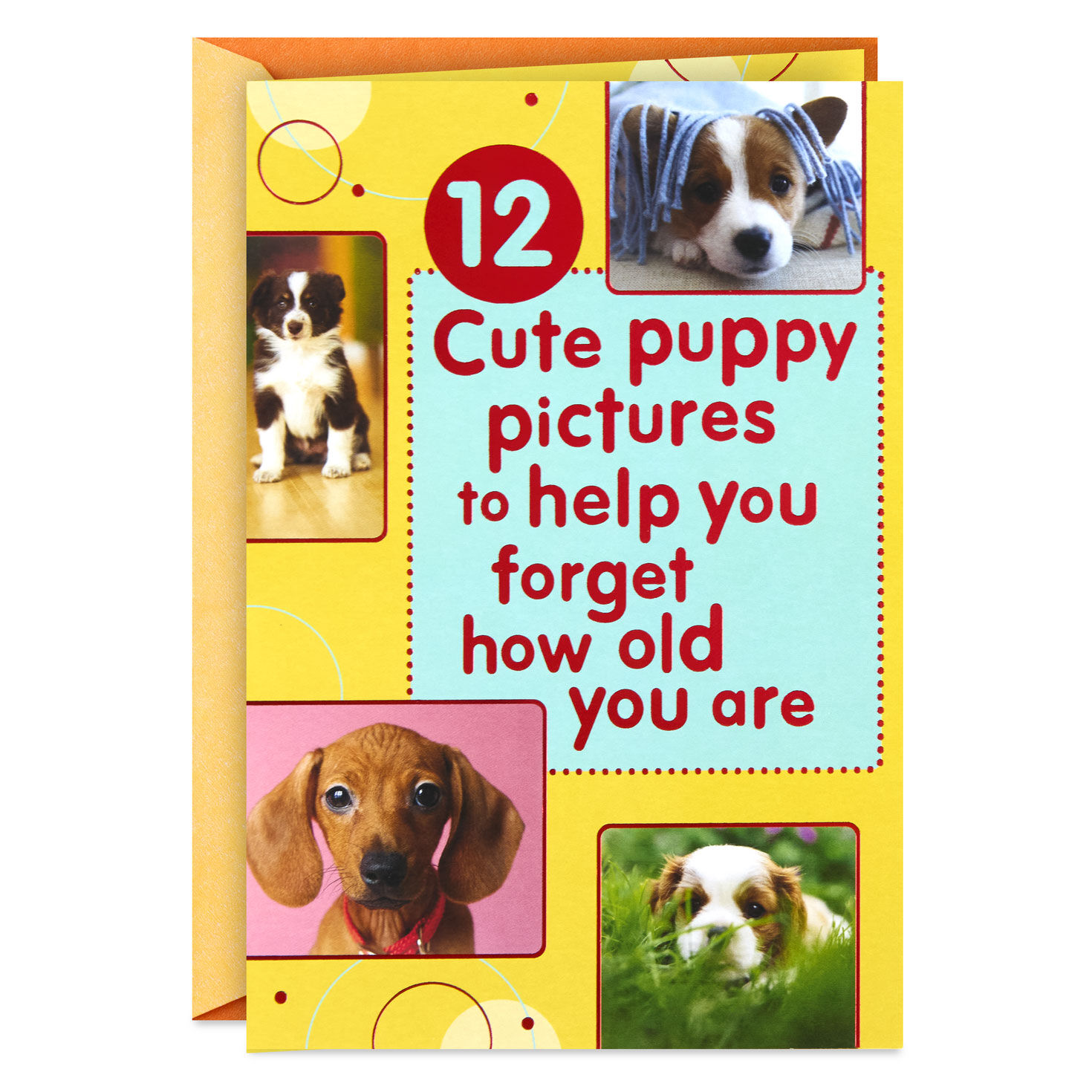 Puppy Pics to Help Forget Getting Older Birthday Card