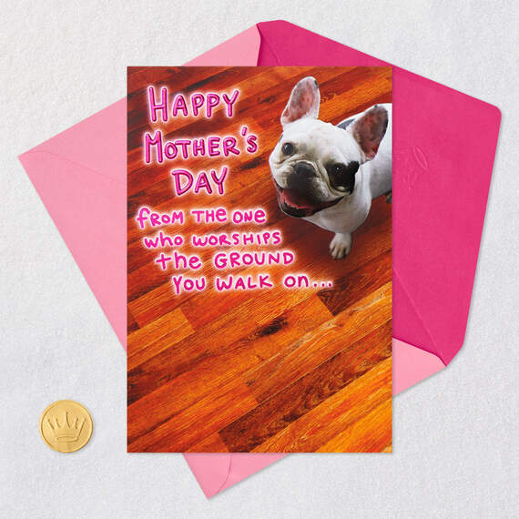 I Worship the Ground You Walk On Mother's Day Card From the Dog, , large image number 5