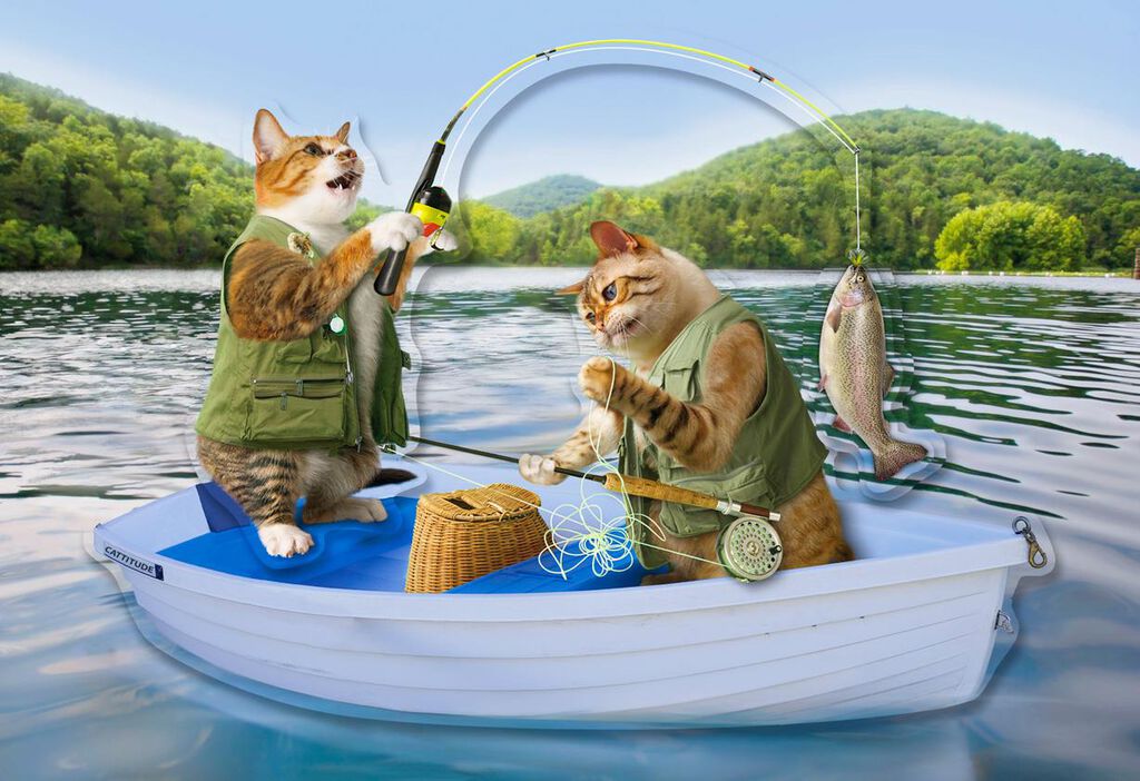 Cute Cats Fishing Funny Father S Day Card For Dad Greeting Cards