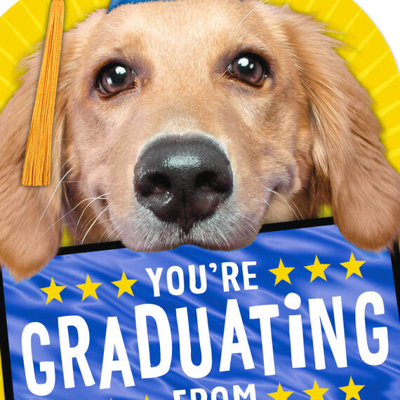 Puppy Dog in Cap Kindergarten Graduation Card, , large image number 4