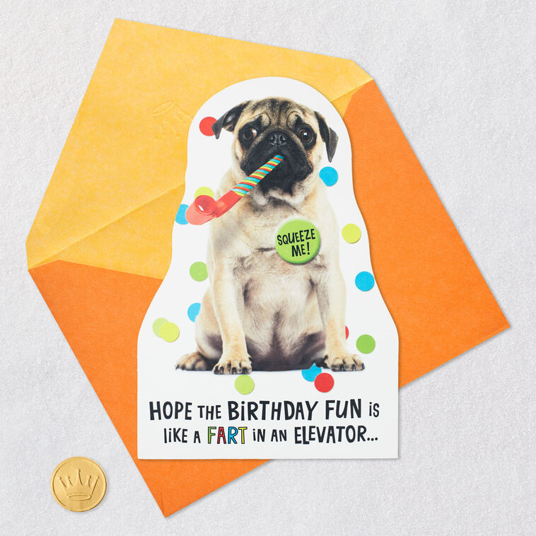 Impossible to Ignore Funny Musical Birthday Card With Sound, , large image number 5