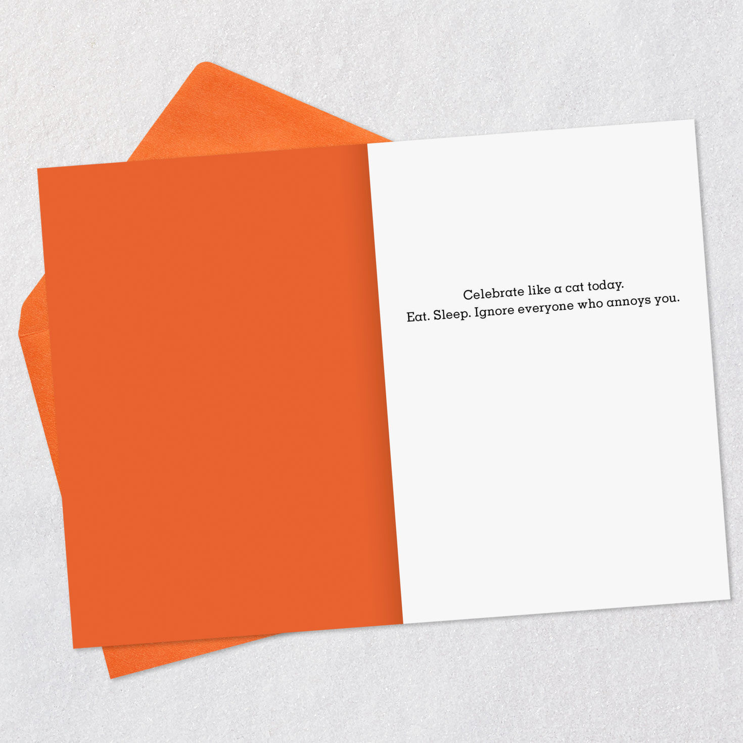 Sleeping Kitty Cat Funny Birthday Card  image number 3