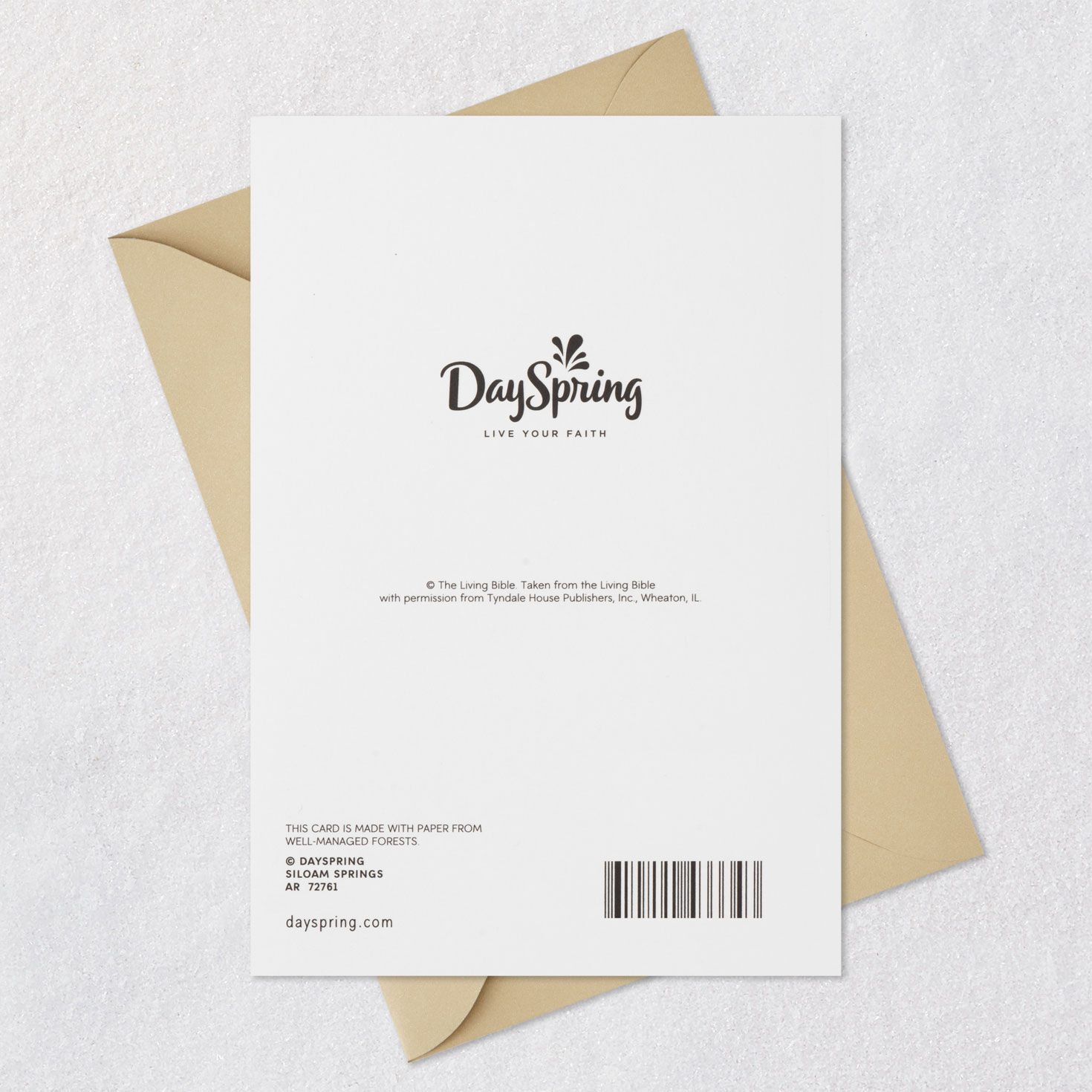 The Tender Grace of Christ Religious Sympathy Card, , large image number 8