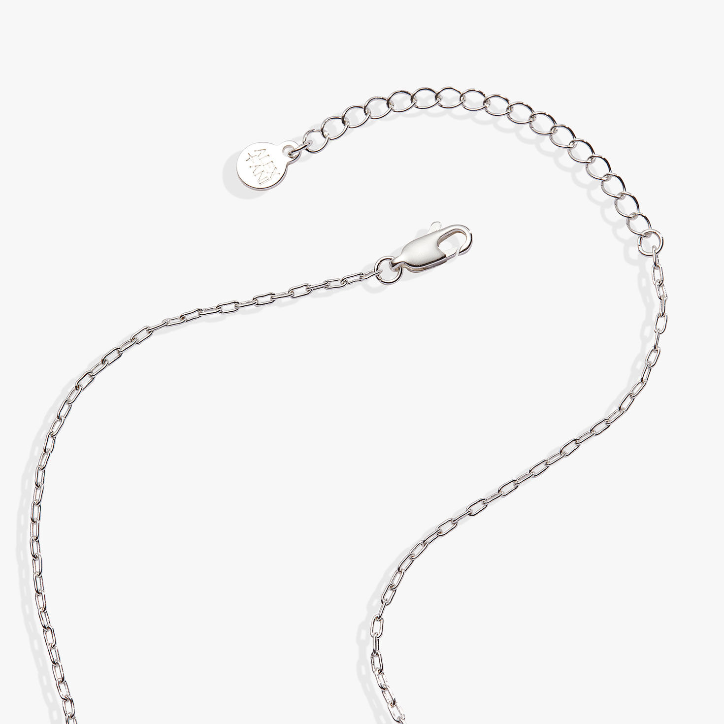 Alex And Ani Cardinal Necklace closeup view image number 2