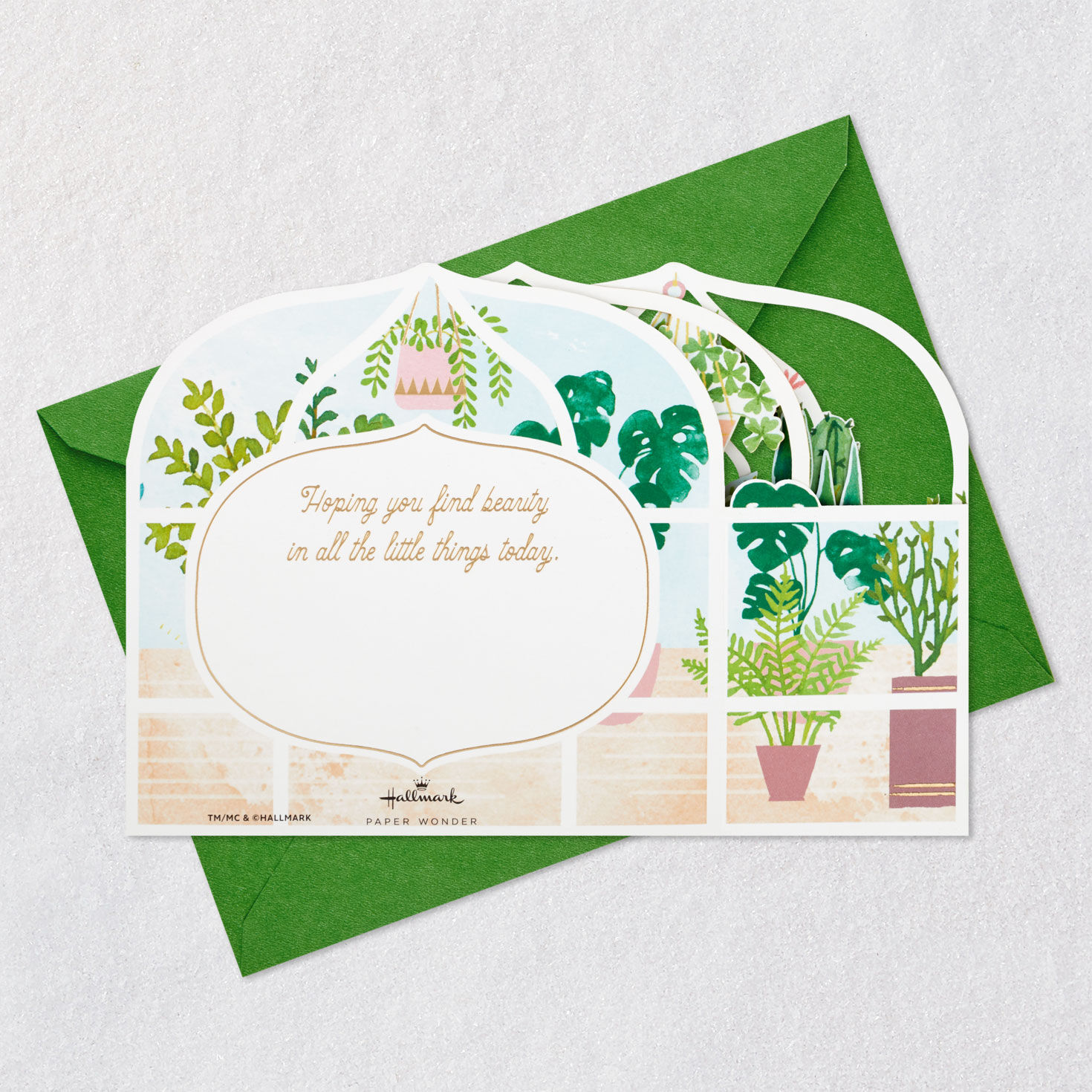 Greenhouse Plants and Cats 3D Pop-Up Card, , large image number 7