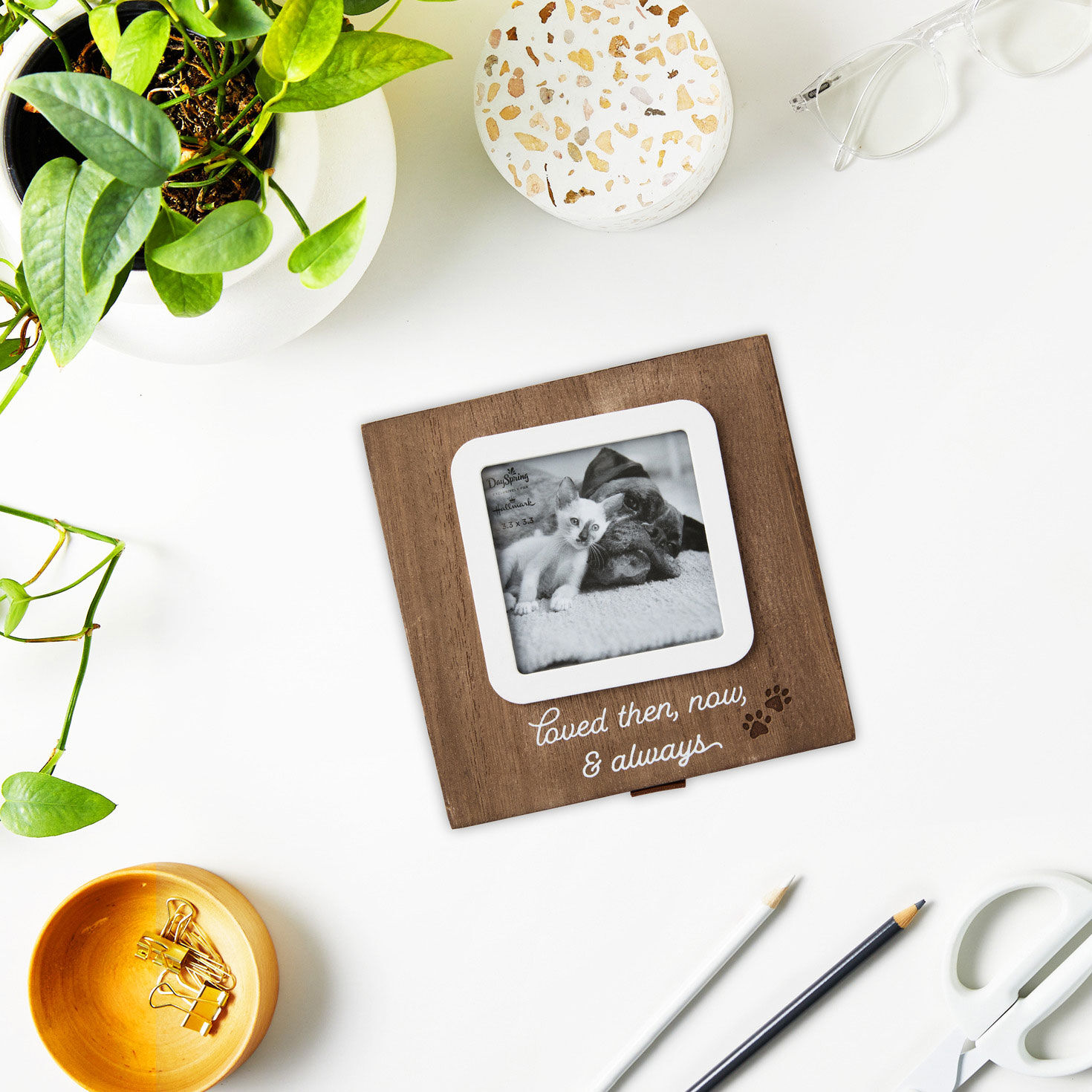 Then, Now and Always Pet Memory Box for only USD 28.99 | Hallmark