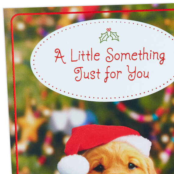 Puppy in Santa Hat Money Holder Christmas Cards, Pack of 6, , large image number 5