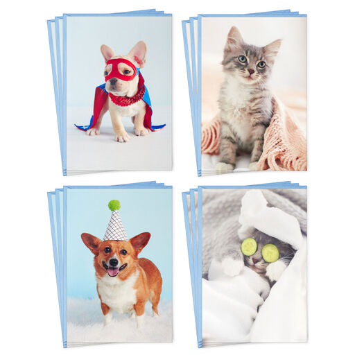 Dynamic Dogs and Cats Boxed Blank Cards Assortment, Pack of 12, 