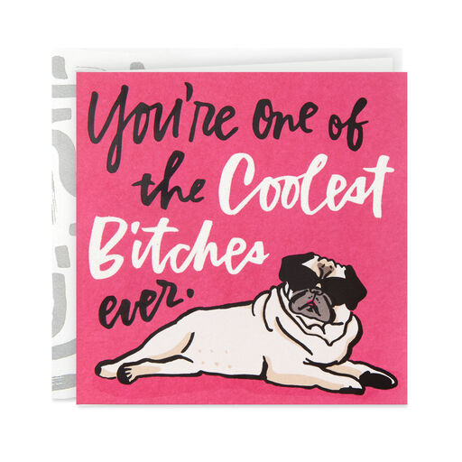 You're One of the Coolest Bitches Ever Funny Birthday Card, 