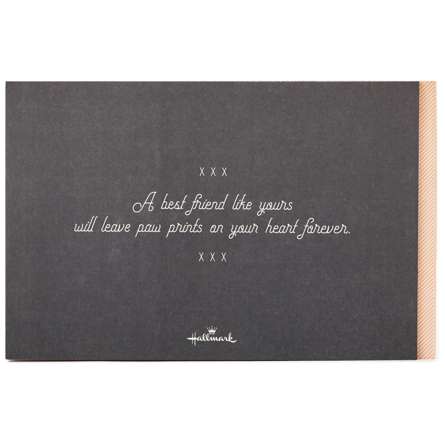 Paw Prints on Your Heart: Saying Good-bye to Your Best Friend for only USD 12.99 | Hallmark
