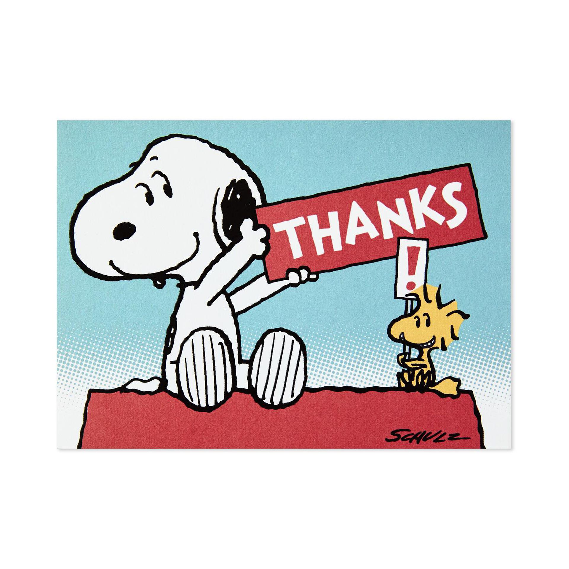 Peanuts® Snoopy and Woodstock Blank Thank You Notes, Pack of 10 Note