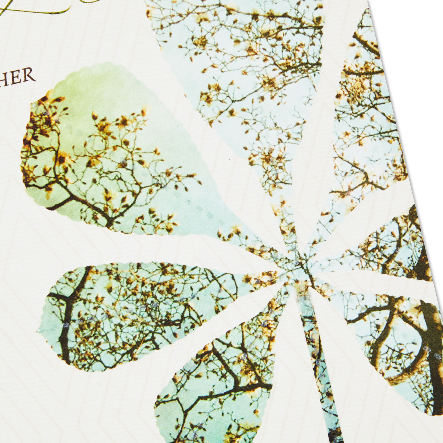 Leaf and Dogwoods Sympathy Card for Loss of Father  image number 4