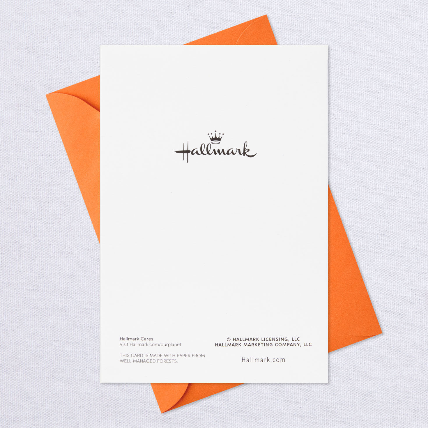 Pumpkins and Witches Assorted Halloween Cards, Pack of 8, , large image number 8