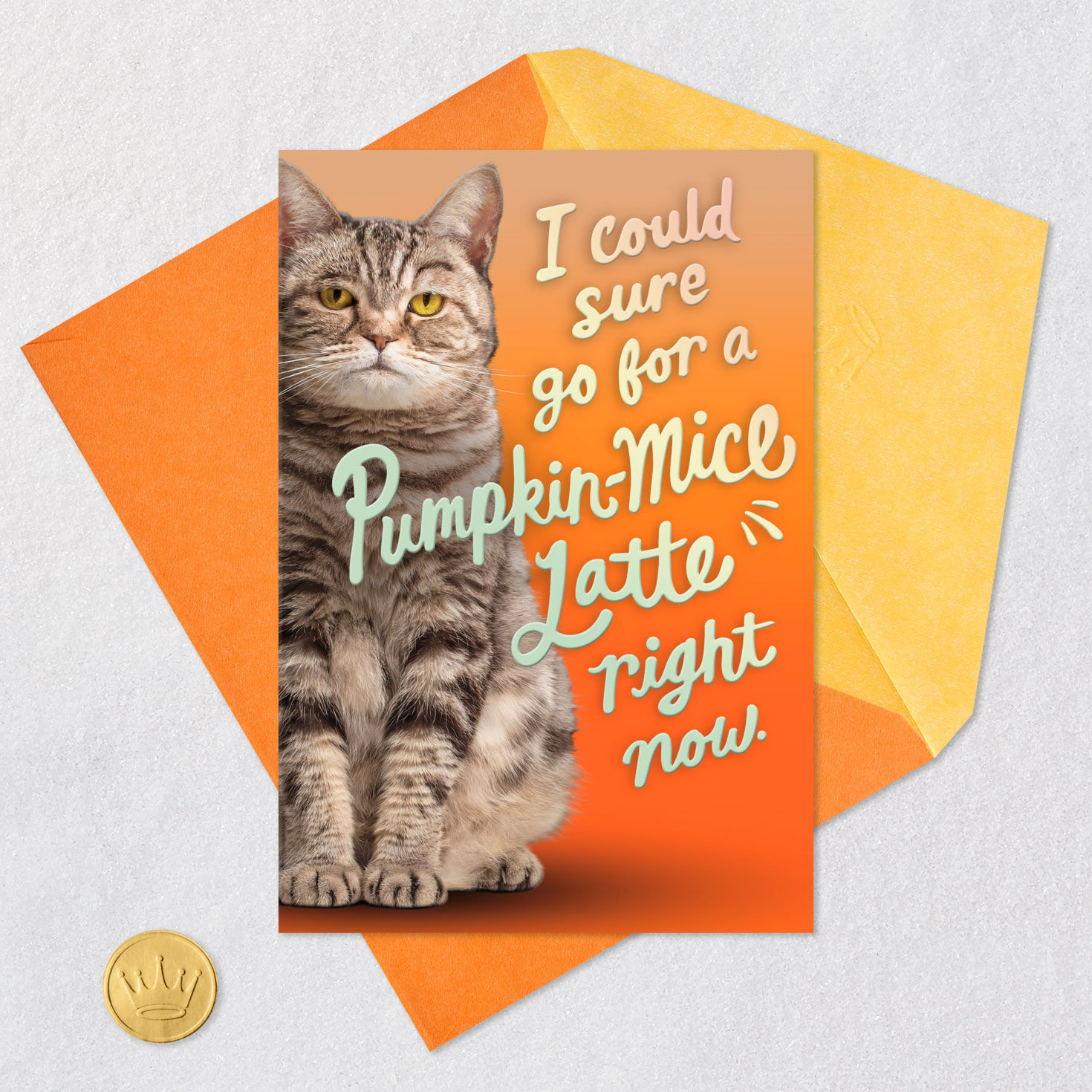 Pumpkin-Mice Latte Funny Halloween Card for only USD 3.99 | Hallmark