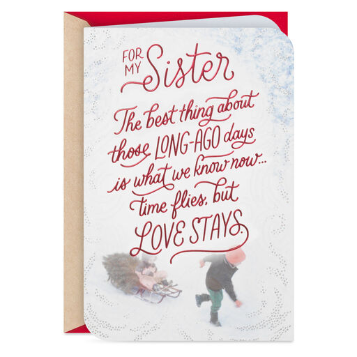 Time Flies, But Love Stays Christmas Card for Sister, 