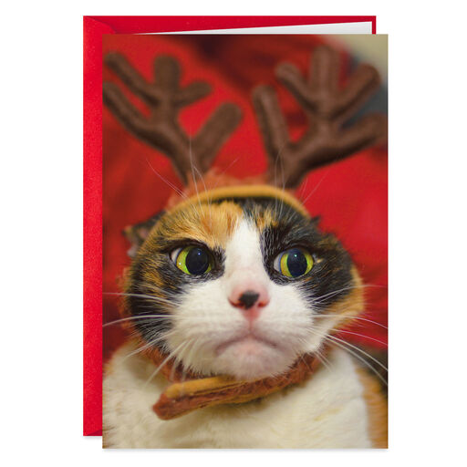 Cat With Antlers Be Merry, Dammit Funny Christmas Card, 