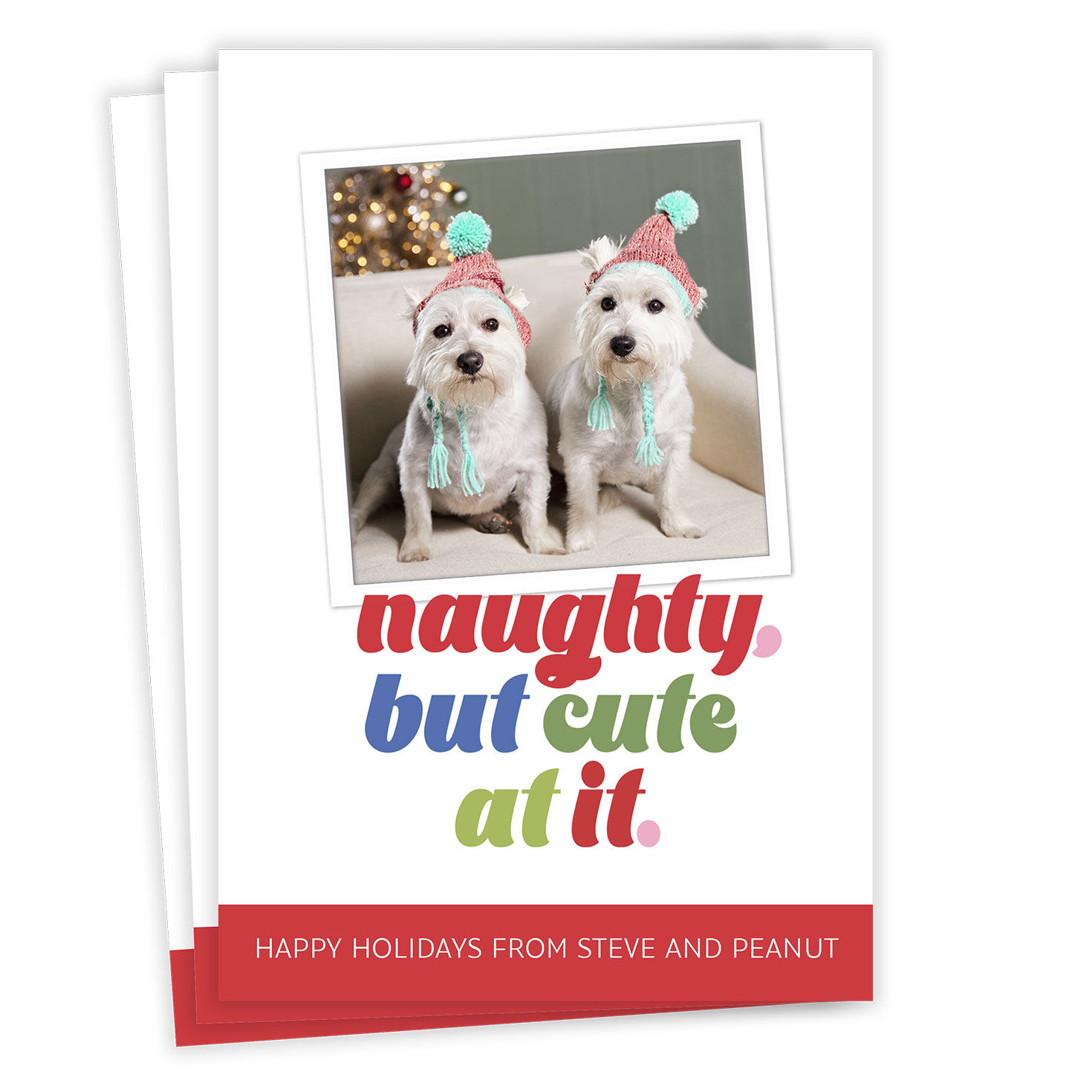 Naughty, but Cute Flat Holiday Photo Card