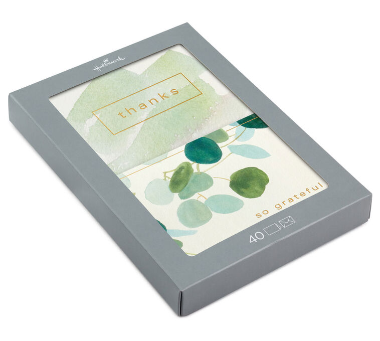 Watercolor Eucalyptus Assorted Blank Thank-You Notes, Pack of 40