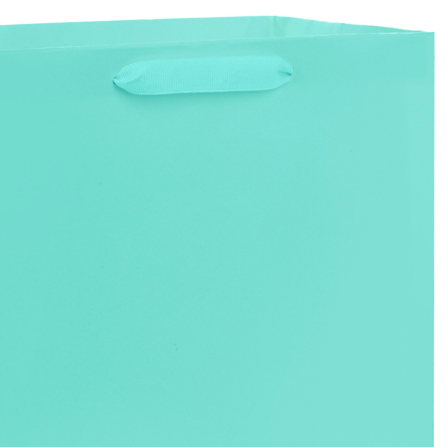 Aqua on sale gift bags