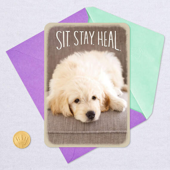 Sit, Stay, Heal Puppy Dog Get Well Card, , large image number 5