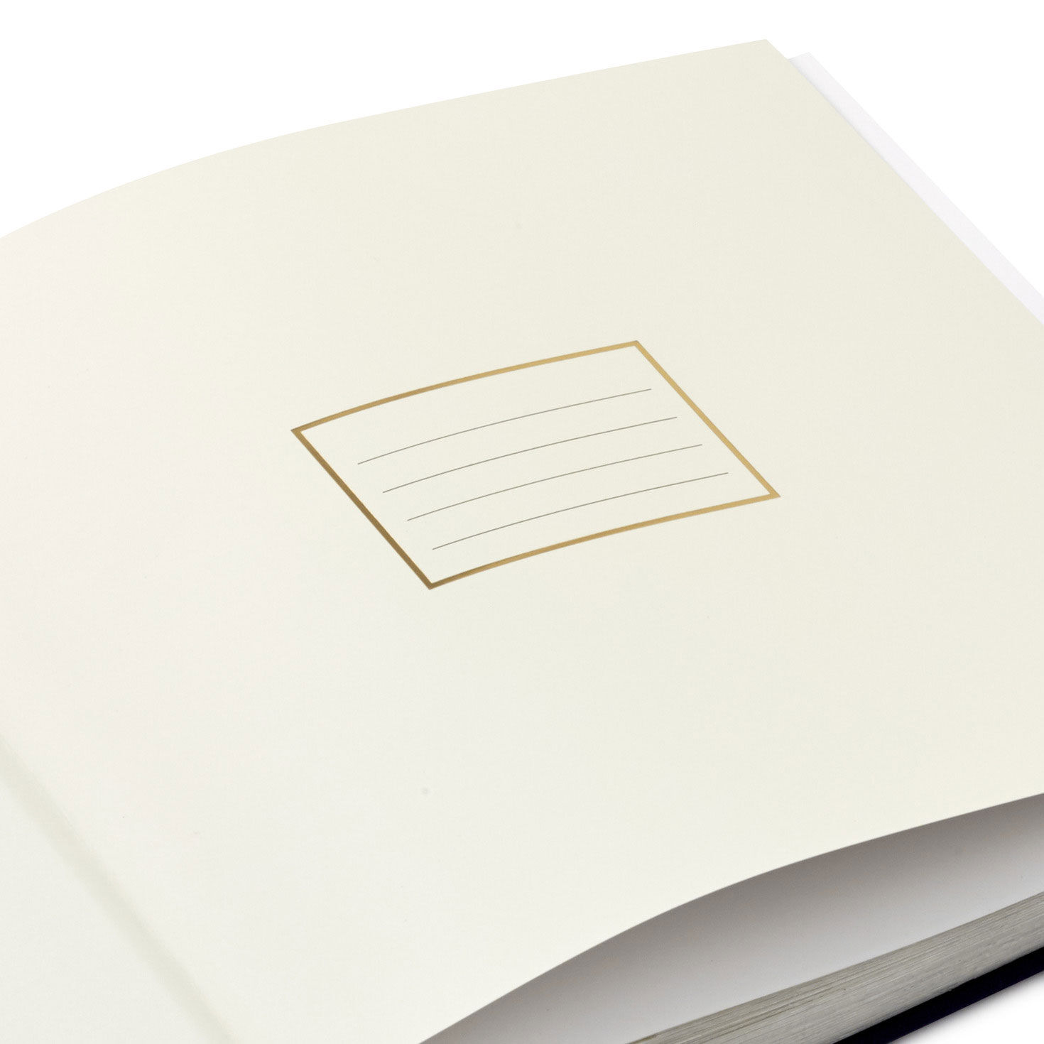 Best Day Ever Navy and Gold 2-Up Photo Album closeup view image number 6