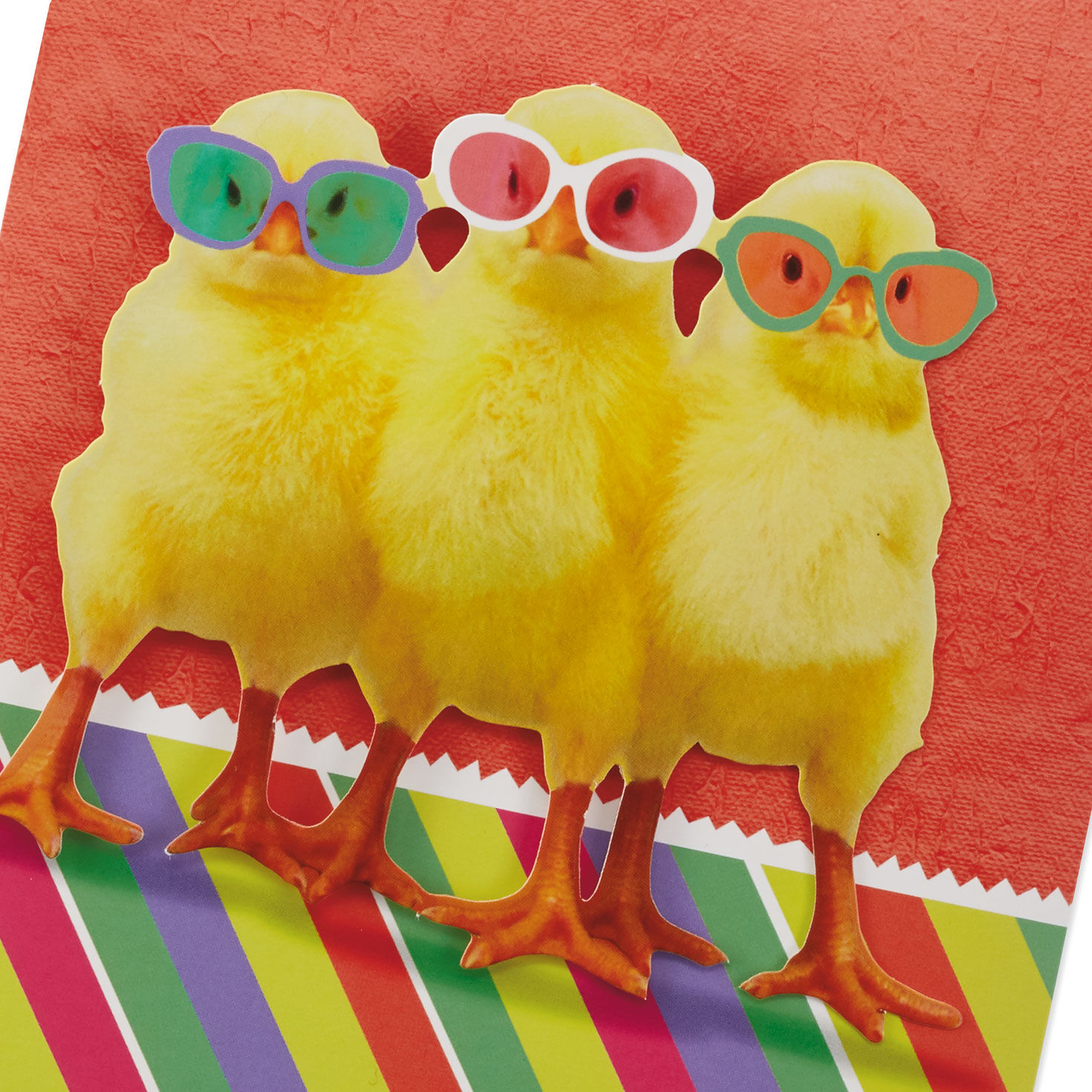 Chicken Dance Funny Easter Card With Music and Motion Card Front Detail image number 5