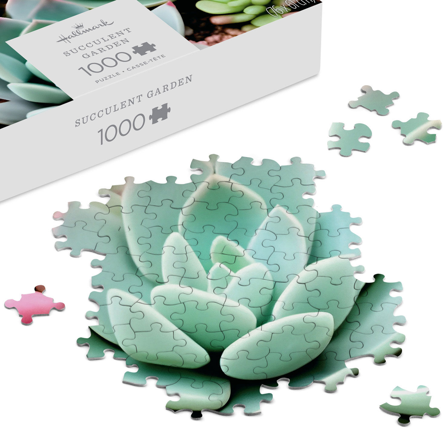 Succulent Garden 1000-Piece Jigsaw Puzzle for only USD 19.99 | Hallmark