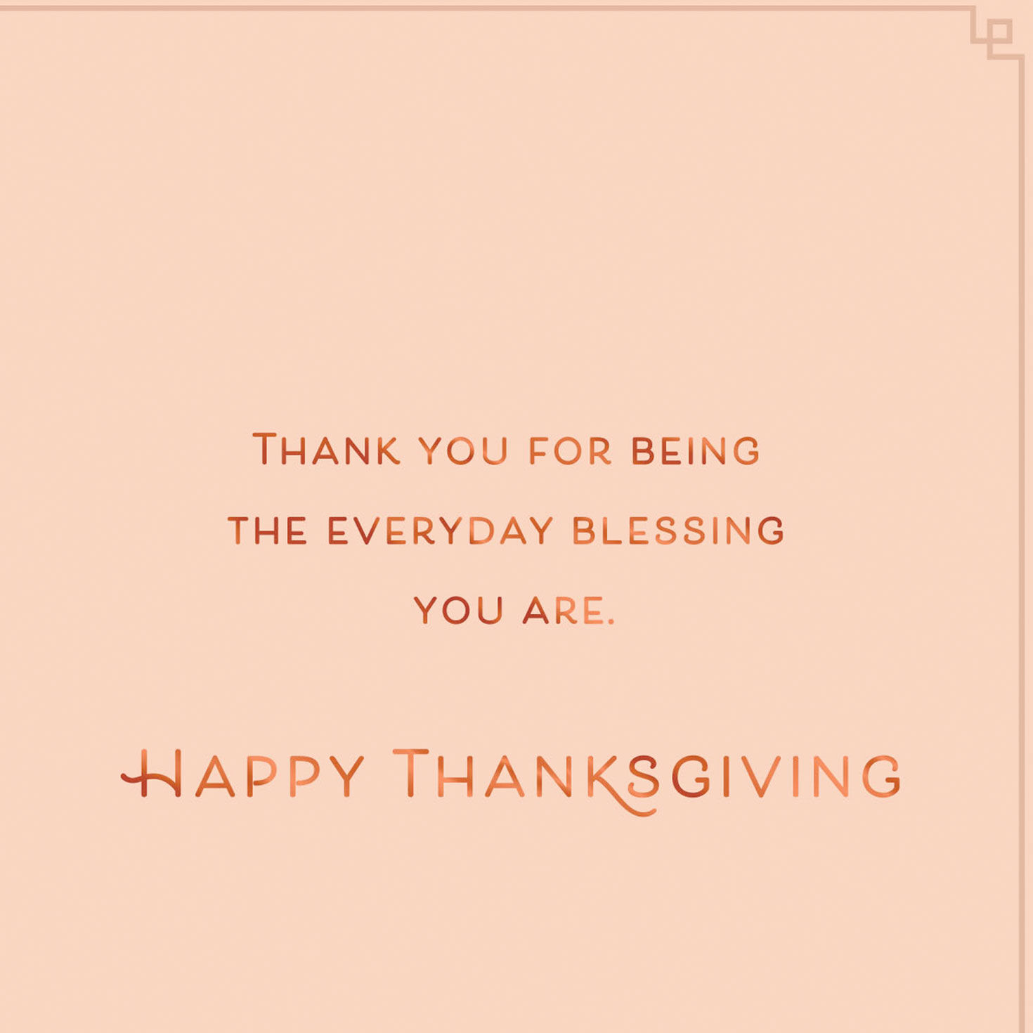 Fall Plaid and Berries Thanksgiving Card Sentiment image number 2