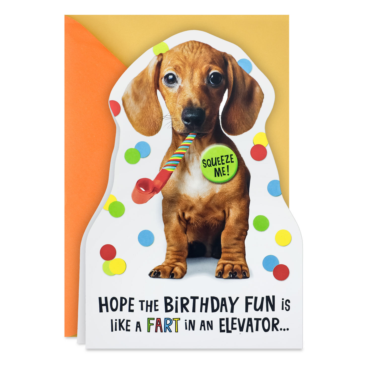 Like a Fart in an Elevator Funny Musical Birthday Card With Sound