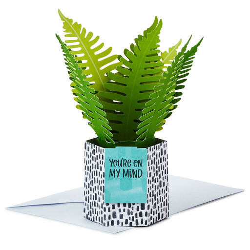Fern Rooting for You 3D Pop-Up Thinking of You Card, 