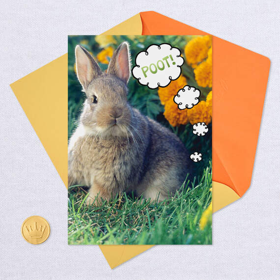 Bunny Farts Funny Easter Card, , large image number 5