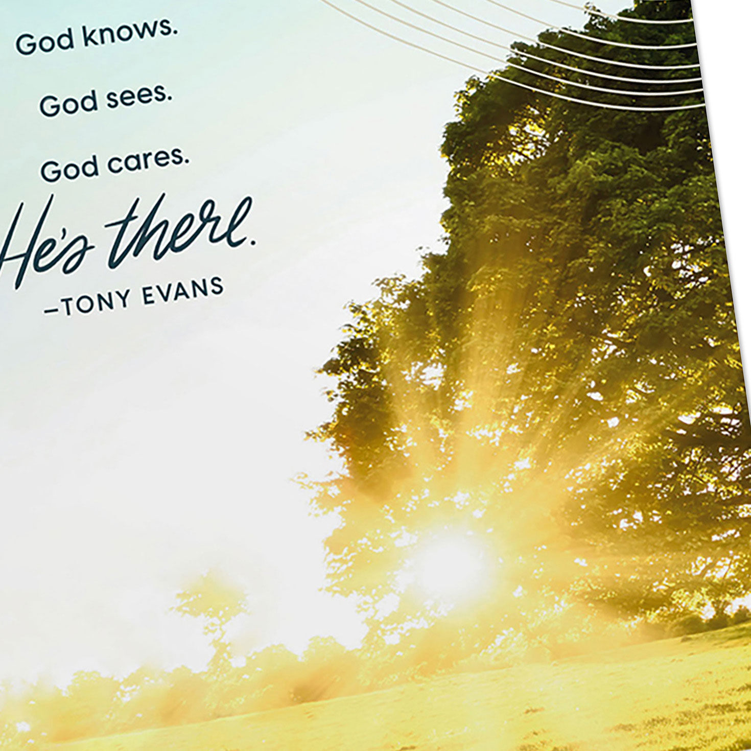 Dr Tony Evans DaySpring Prayer Cards Assortment Cover Detail image number 5