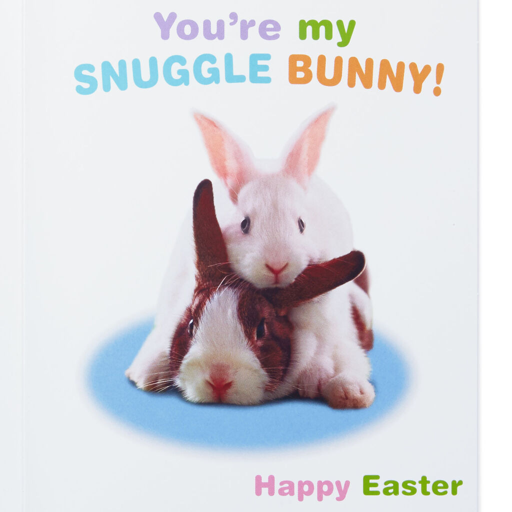 Snuggle Bunny Romantic Easter Card Greeting Cards Hallmark
