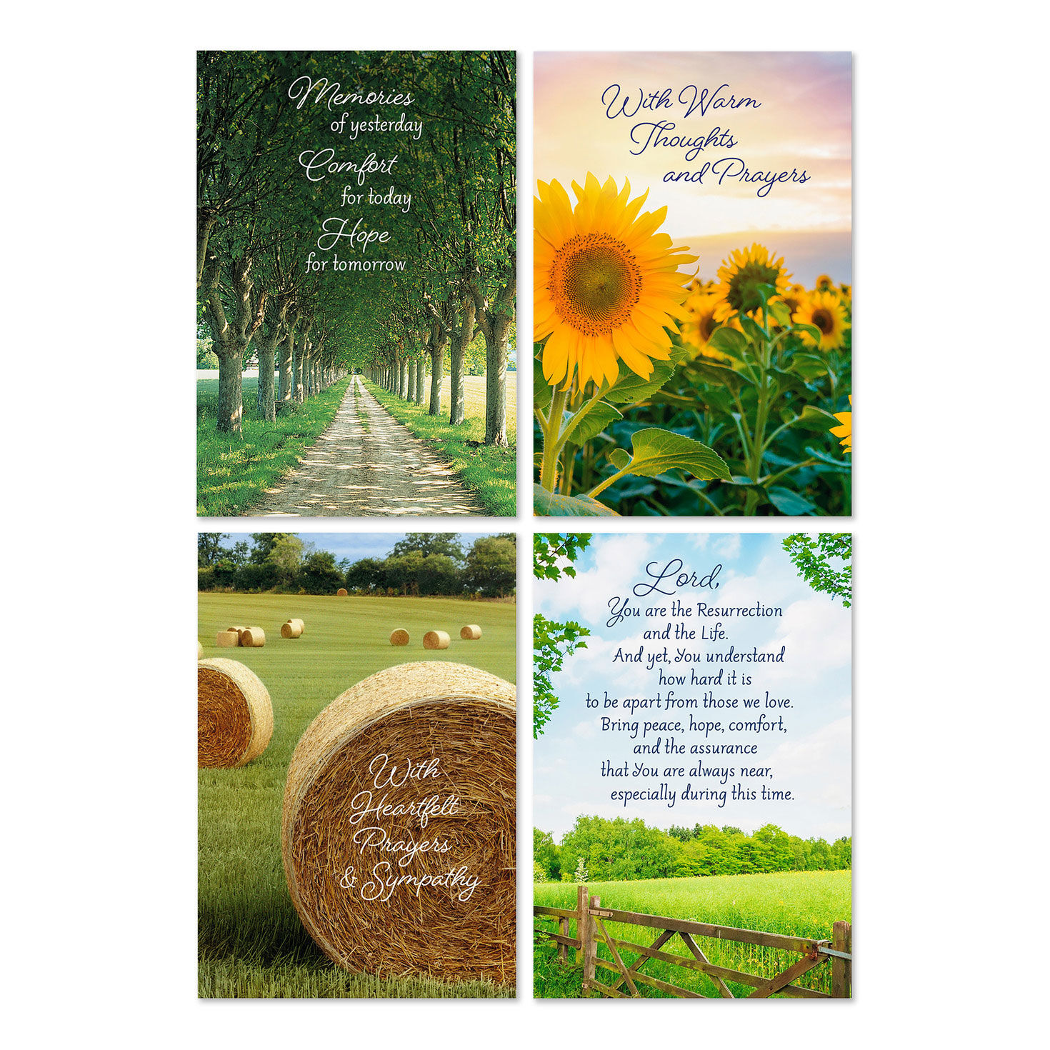 Fields of Comfort Assorted Religious Sympathy Cards, Box of 12