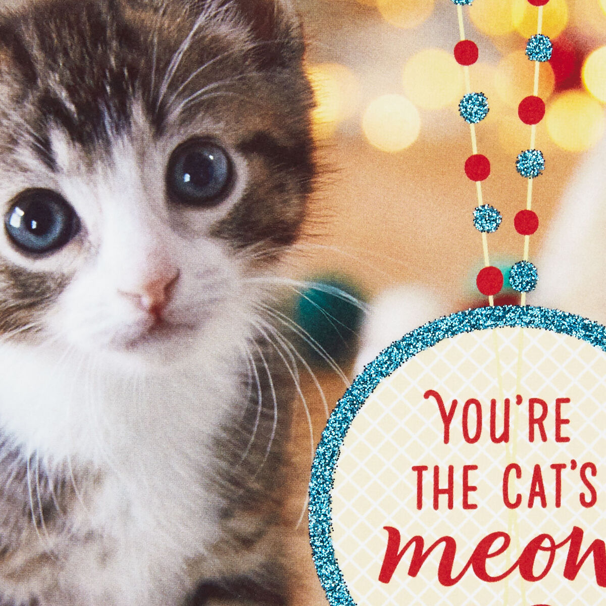 You're the Cat's Meow Christmas Card From the Cat Greeting Cards