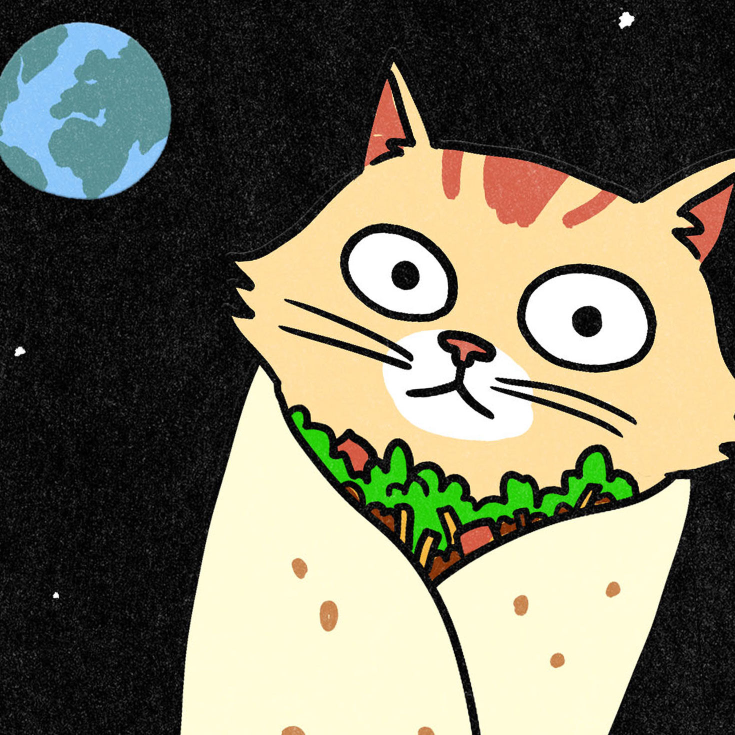 Cat Burrito in Space Funny Card Card Front Detail image number 4