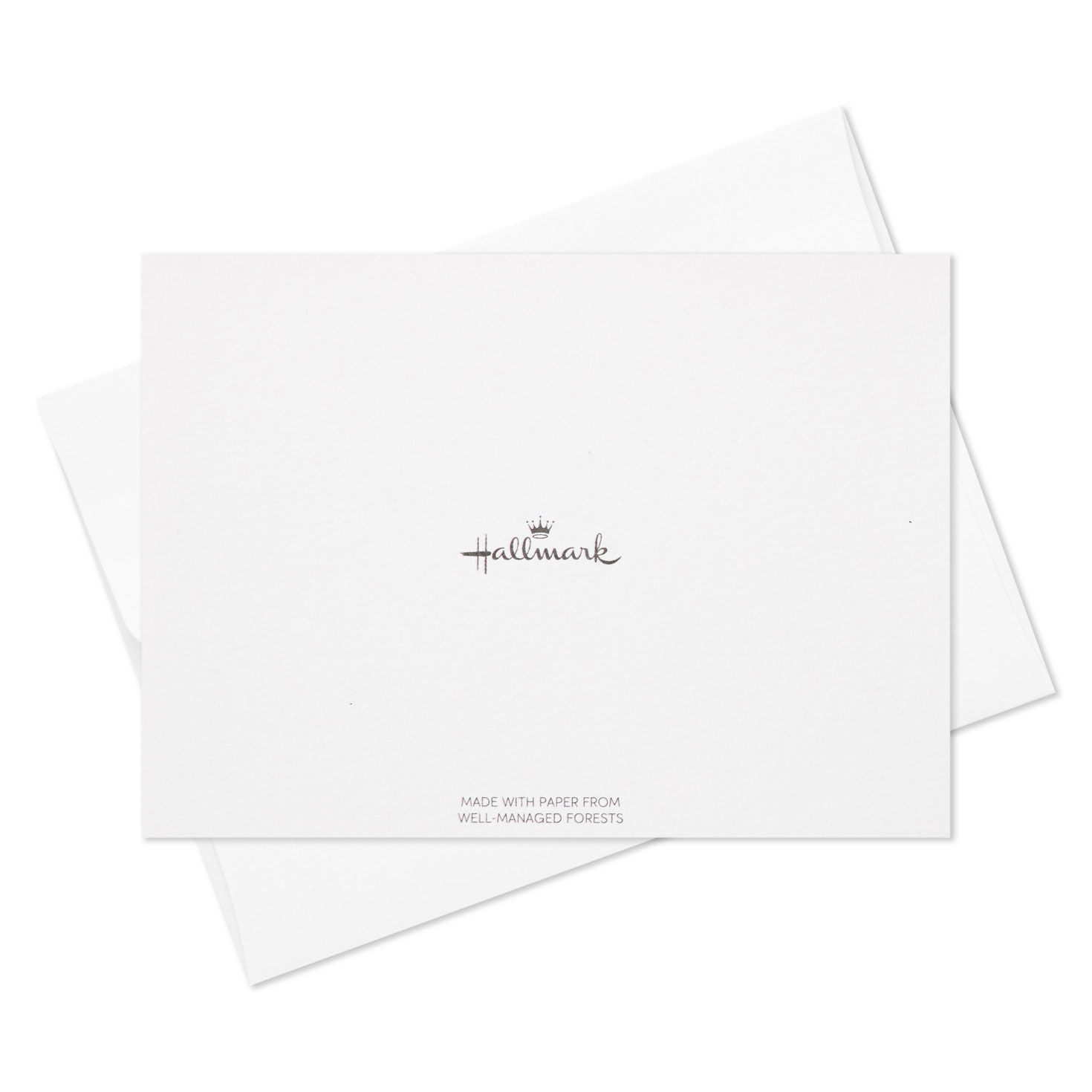 Embossed Shell Blank Thank-You Notes, Box of 10 for only USD 11.99 | Hallmark