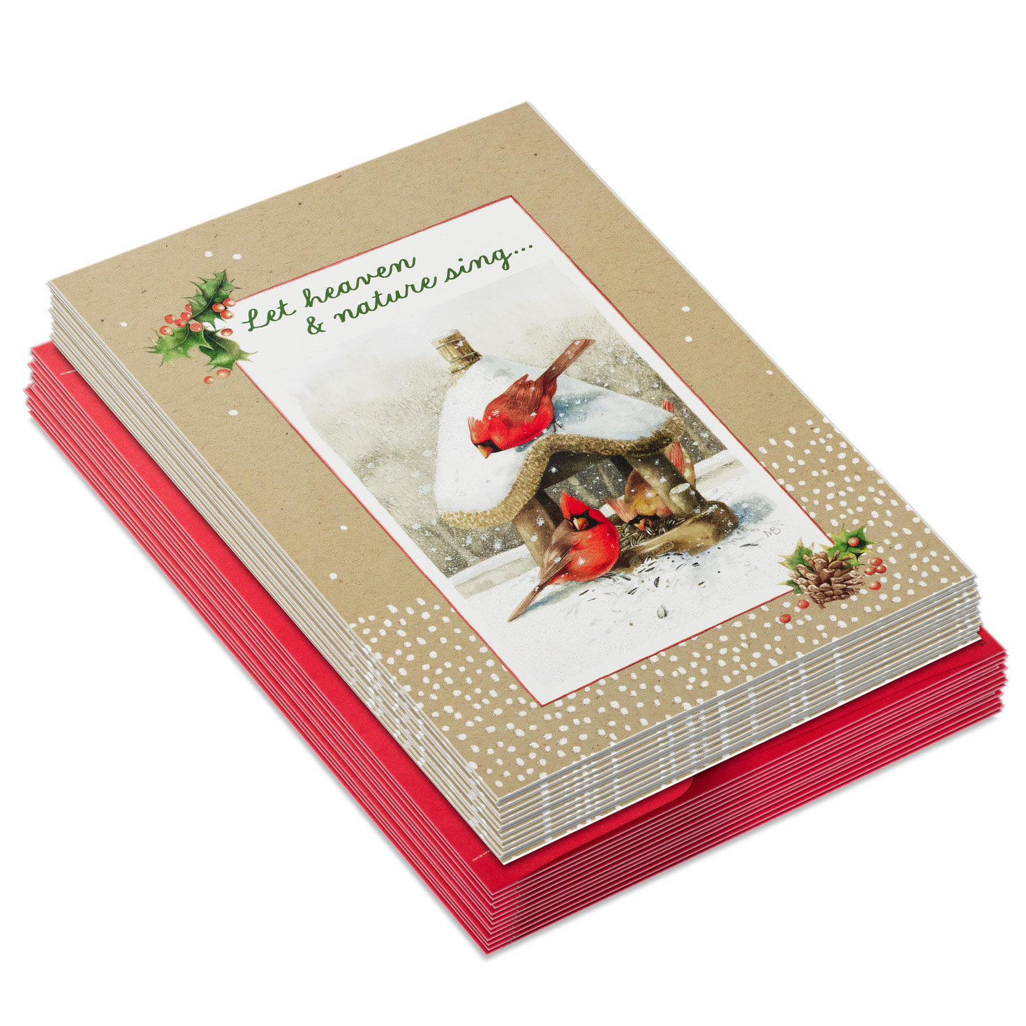 Bastin Birds DaySpring Religious Christmas Cards fronts stacked image number 2