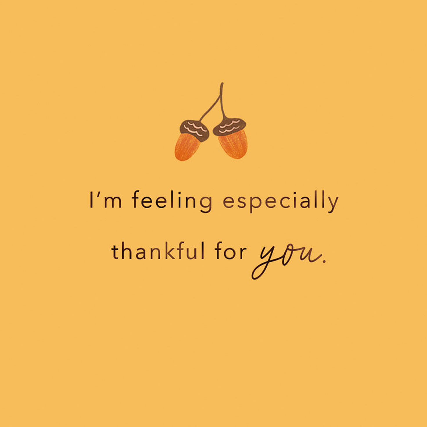 Especially Thankful for You Thanksgiving Card for only USD 2.99 | Hallmark