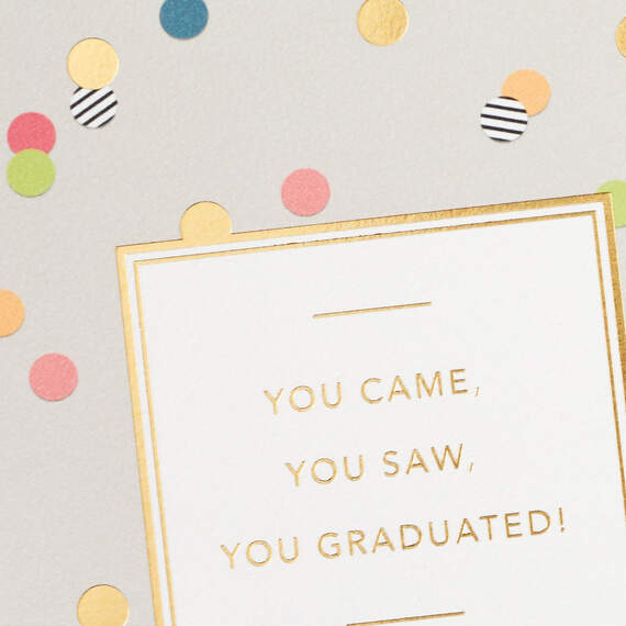You Came, You Saw, You Graduated Graduation Card, , large image number 4