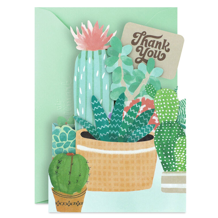Potted Cactus and Succulents Blank Thank You Notes card front with envelope image number 1